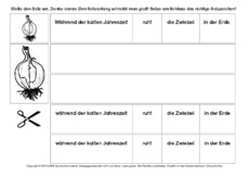 Tulpe-Sätze-umstellen-4.pdf